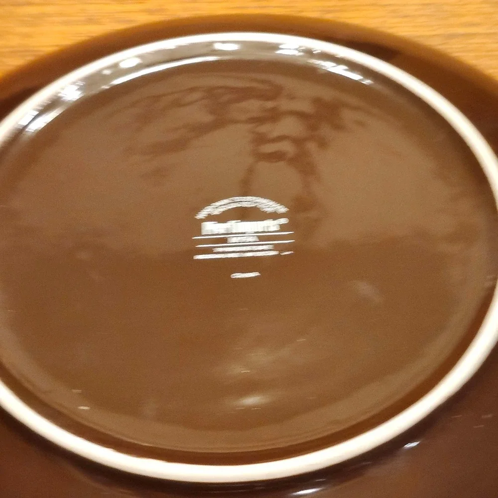 Pier 1 Imports Myra Dinner Plates Set of 2 Hand-Painted Stoneware